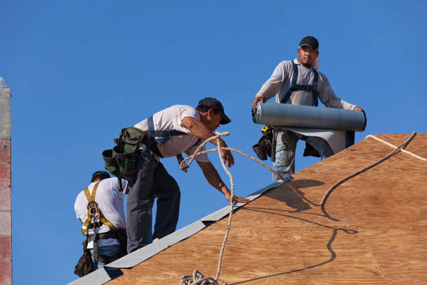 Best Metal Roofing Contractor  in Sammamish, WA